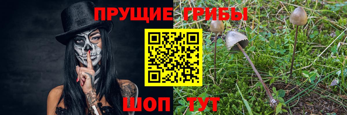 Псилоцибиновые грибы мухоморы Ивантеевка
